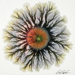 eclipsed-explosion