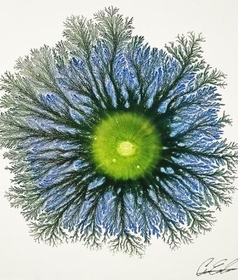 explosion-14