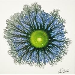 explosion-14