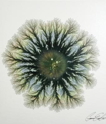 explosion-of-nature