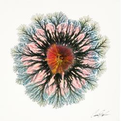 eclipsed-explosion-volcano