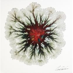 explosive-volcano
