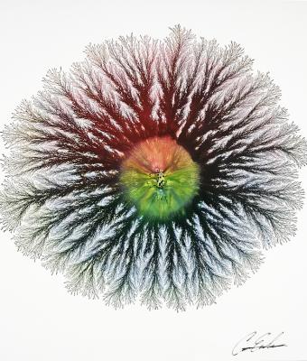abstract-eclipse