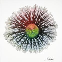 abstract-eclipse