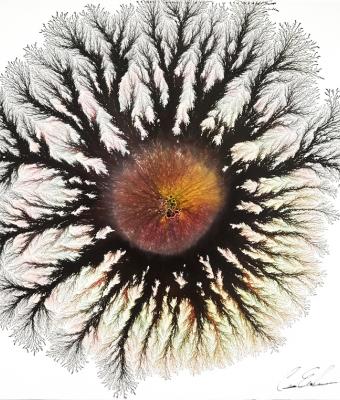 volcano