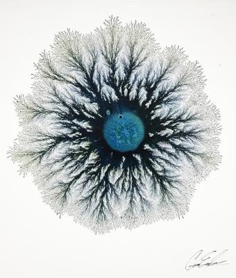 glacial-explosion