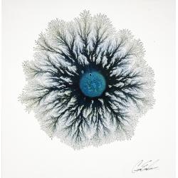 glacial-explosion