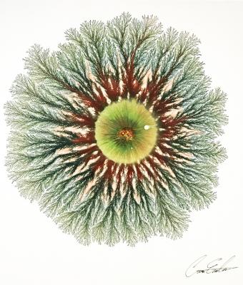natural-explosion