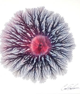 eclipsed-volcanic-explosion