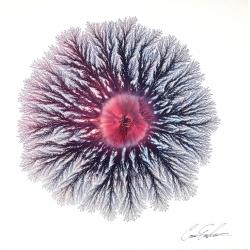eclipsed-volcanic-explosion