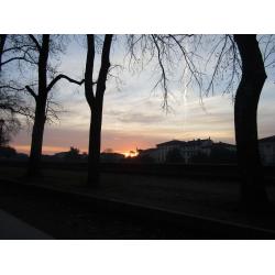 cortometraggio