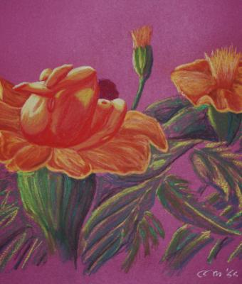 women-and-flowers-02