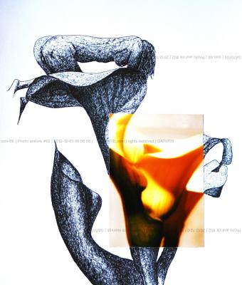 photo-and-ink-02