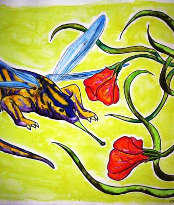 humming-bird-reptile-dragonfly