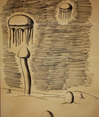 study-for-mushrooms-amp-jell