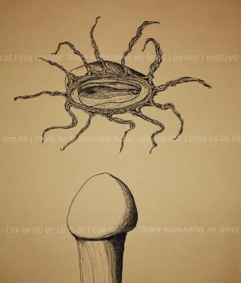study-for-mushrooms-amp-jell