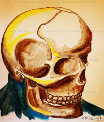 study-for-skull-02