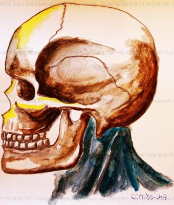 study-for-skull-03