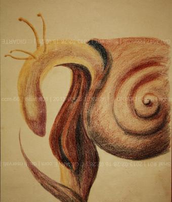 snail-01