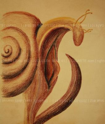 snail-02