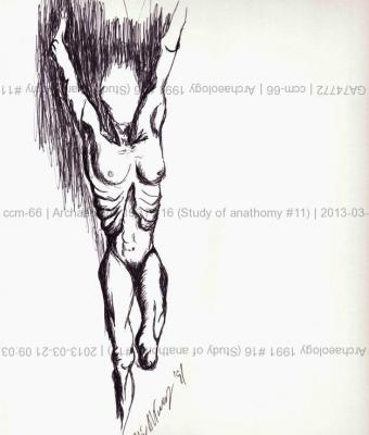 archaeology-1991-16-study-of