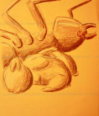 study-for-ant-nursing-rabbits