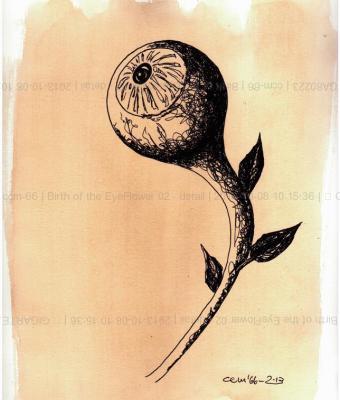 birth-of-the-eyeflower-02