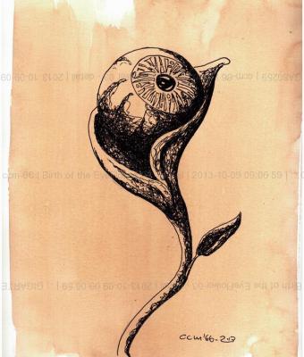birth-of-the-eyeflower-03