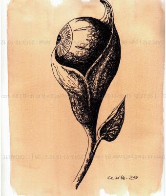birth-of-the-eyeflower-04