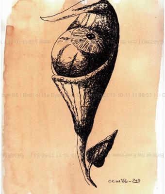 birth-of-the-eyeflower-05