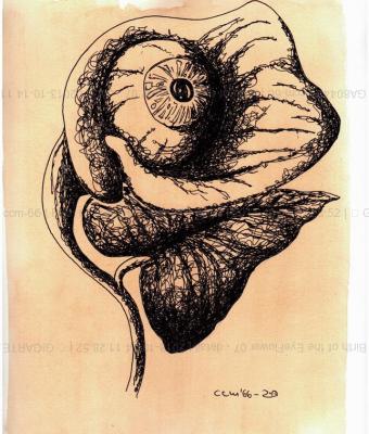 birth-of-the-eyeflower-07