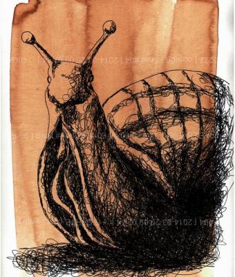 snail-04
