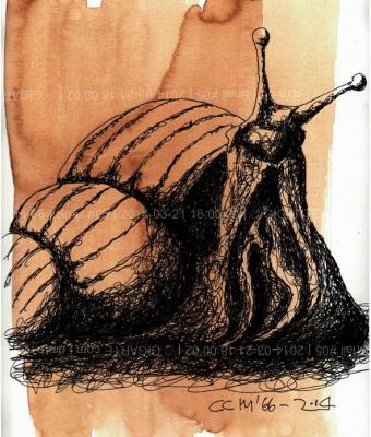 snail-05