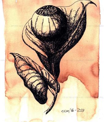 the-eyeflower-01