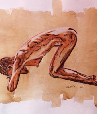 brownwhite-shot-10-sequence