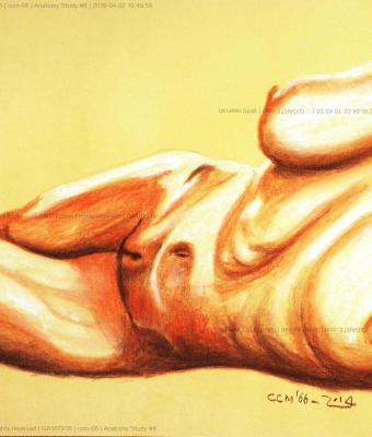anatomy-study-06