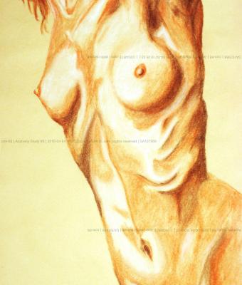 anatomy-study-05