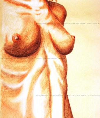 anatomy-study-04