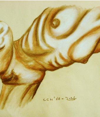 anatomy-study-03