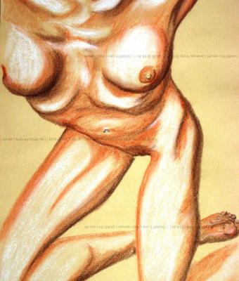 anatomy-study-01