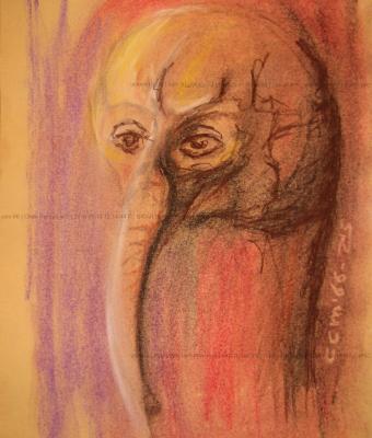 chalk-portrait-07