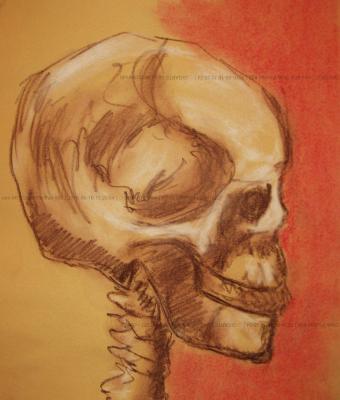 chalk-portrait-05