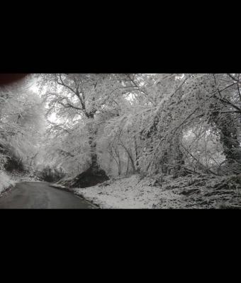 paesaggio-invernale