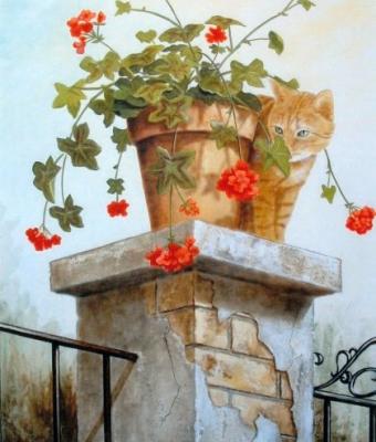 gatto-curioso