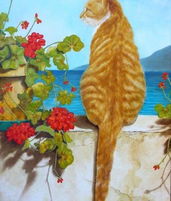 gatto-sul-davanzale