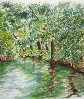 riflessi-nel-ciane