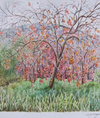 come-in-un-sogno-albero-di-lo