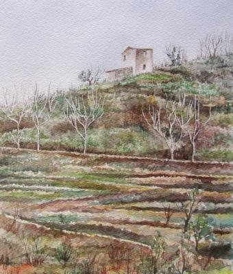 pietra-dalla-strada