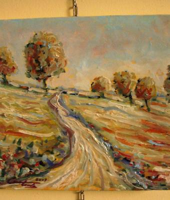 stradina-di-campagna