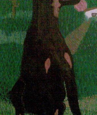 iago-33x19